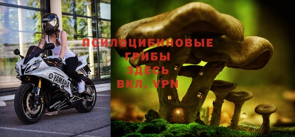 2c-b Алзамай