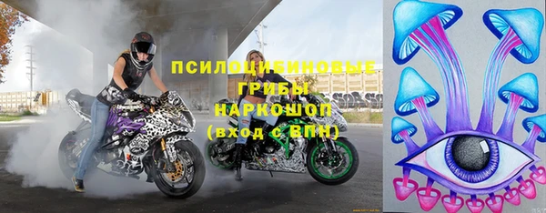 молекула духа Алексеевка