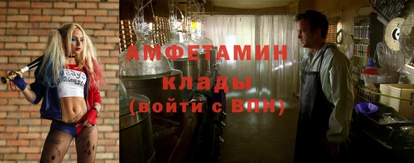 молекула духа Алексеевка