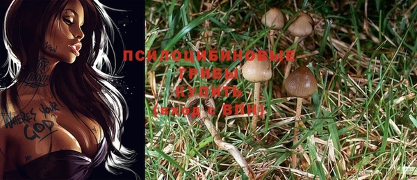молекула духа Алексеевка