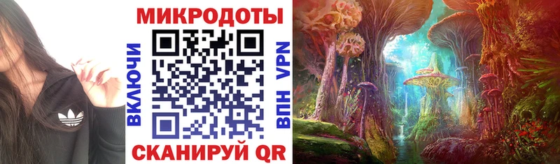 Псилоцибиновые грибы прущие грибы  Куйбышев 